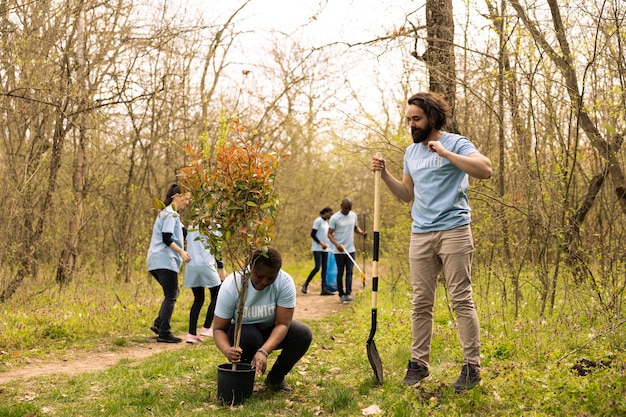 diverse environmentalists team planting tree woods 482257 110344